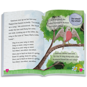 The Riddle of the Robin Book (WellieWishers™) S7
