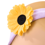 Disney Princess Rapunzel Cuddle & Care Set with Bitty Baby® Doll by American Girl® C4