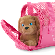 Packed with Fun Luggage Set for 18-inch Dolls W4