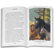Smoke in the Wind: Kaya Book 2  (Historical Characters) M1