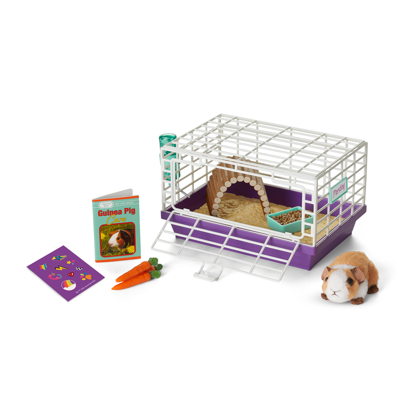 Courtney's™ Guinea Pig (Historical Characters) J8