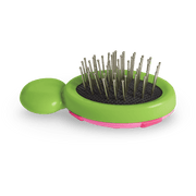 Little Ladybug Brush A9