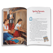 Second Chances: Josefina Book 2 (Historical Characters) D8