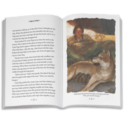 Smoke in the Wind: Kaya Book 2  (Historical Characters) J4